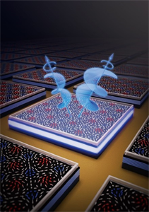 廈大團(tuán)隊(duì)成功研制新型自旋固態(tài)光源芯片