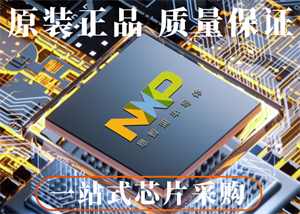 NXP恩智浦LPC2368FBD100K單片機的功能特點、中文參數以及應用