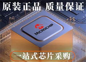 微芯LAN9220-ABZJ以太網控制器芯片的中文參數、功能特點及應用領域